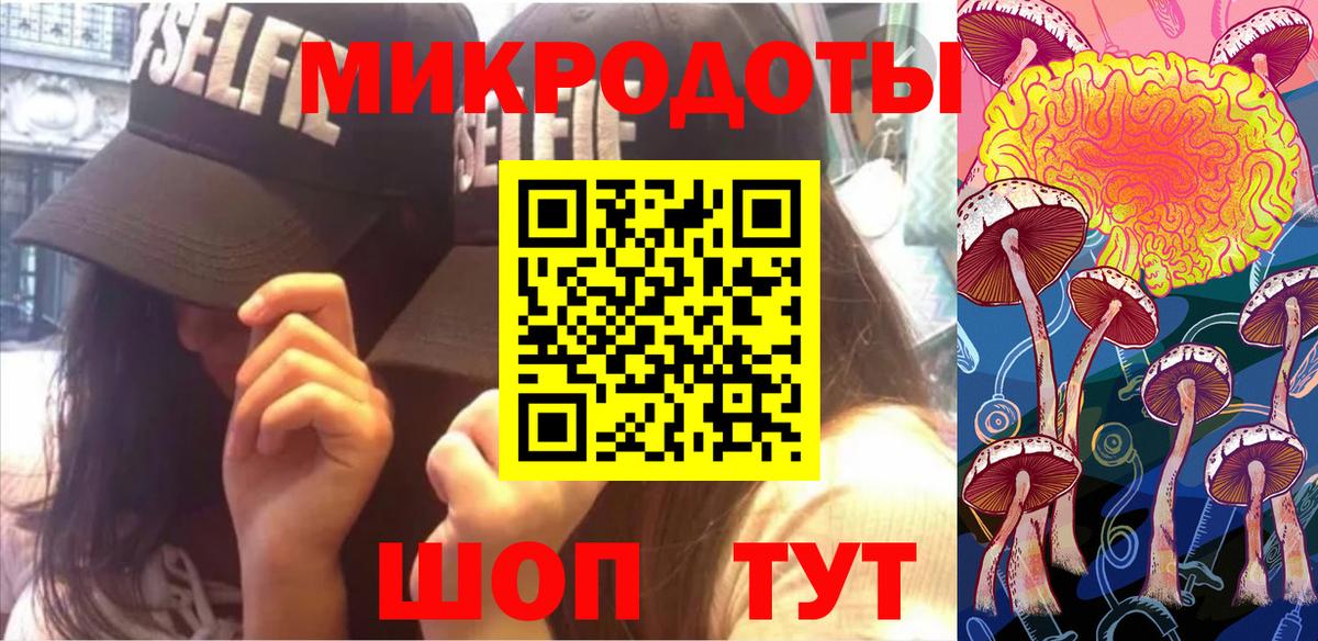 Галлюциногенные грибы Cubensis Братск